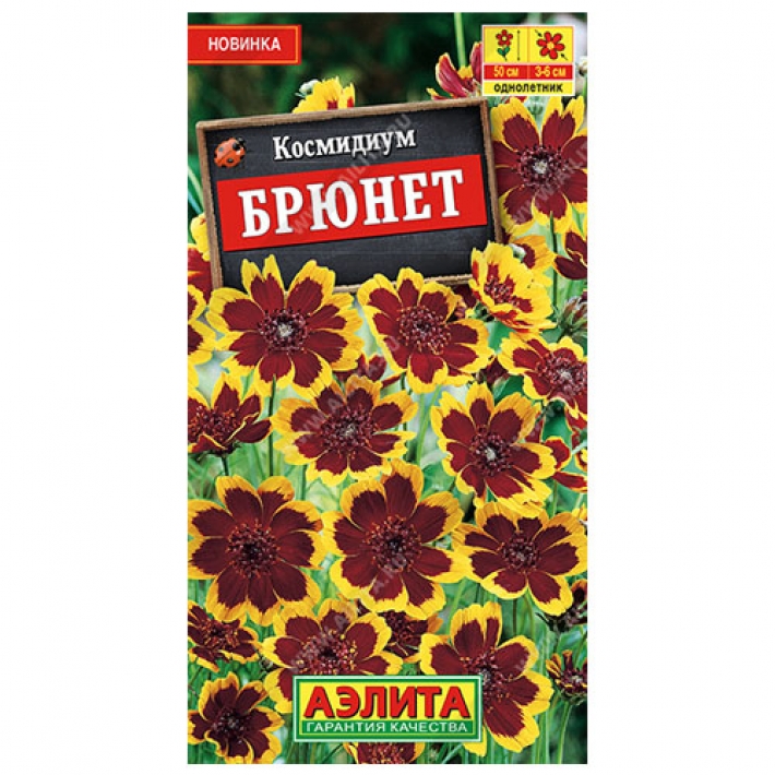 Космидиум Брюнет