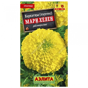 Бархатцы Мари Хелен прямостоячие