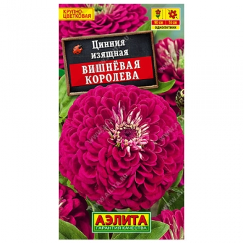 Цинния Вишневая королева