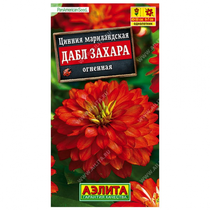 Цинния Дабл Захара огненная