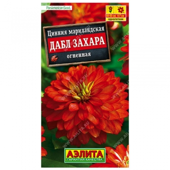 Цинния Дабл Захара огненная