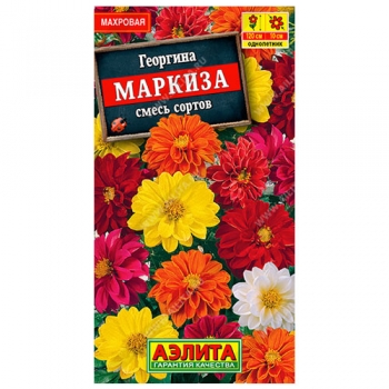 Георгина махровая Маркиза, смесь сортов