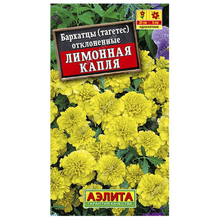 Бархатцы Лимонная капля отклоненные