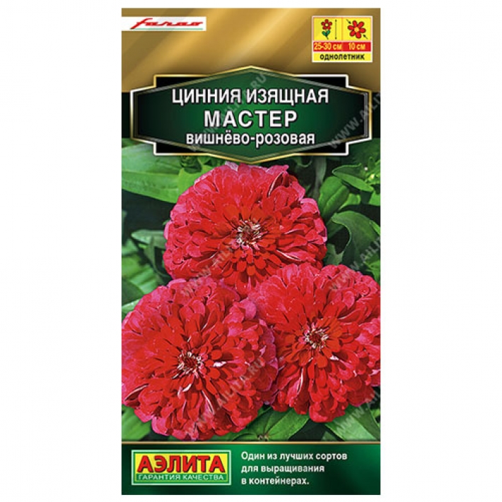 Цинния Мастер вишнево-розовая