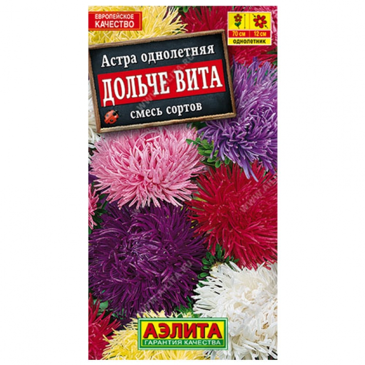 Астра Дольче Вита, смесь окрасок