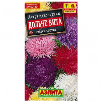 Астра Дольче Вита, смесь окрасок