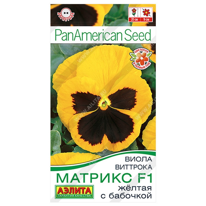 Виола Матрикс F1 желтая с бабочкой крупноцветковая