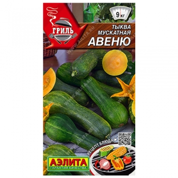 Тыква мускатная Авеню