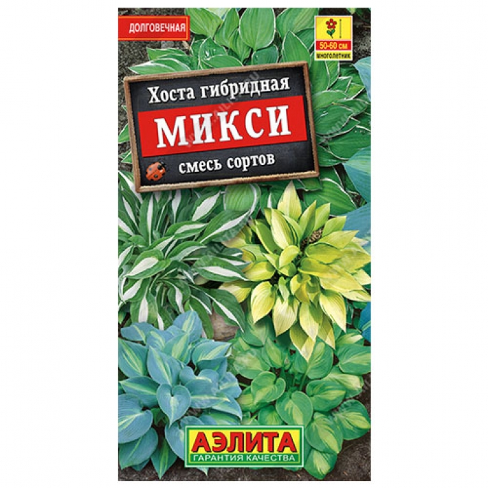 Хоста Микси, смесь окрасок