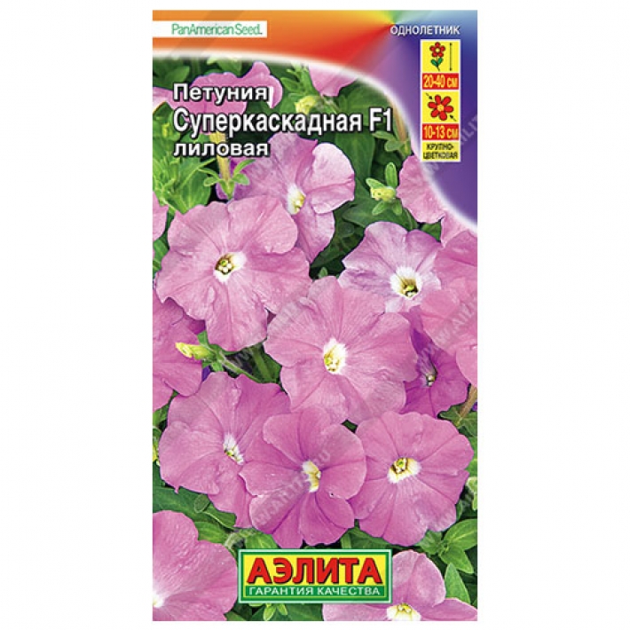 Петуния суперкаскадная F1 лиловая
