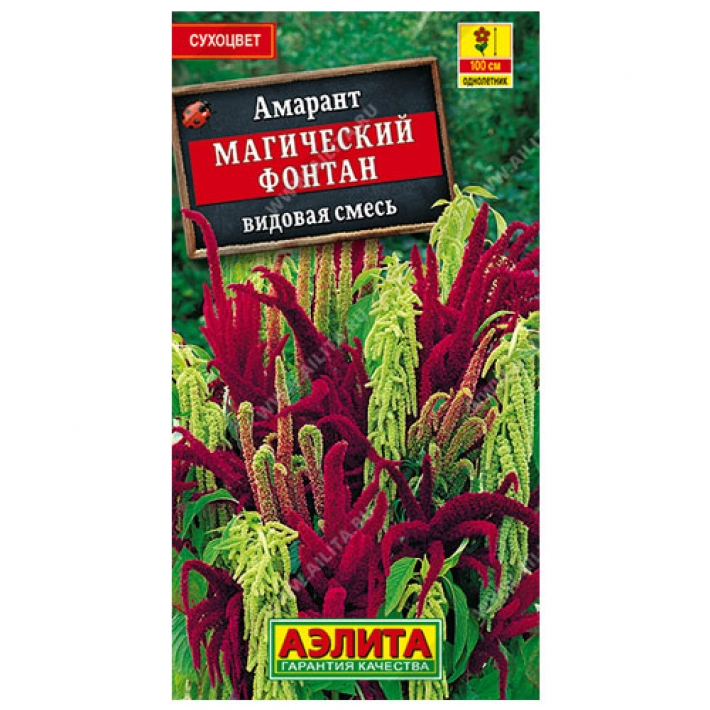 Амарант Магический фонтан, смесь окрасок