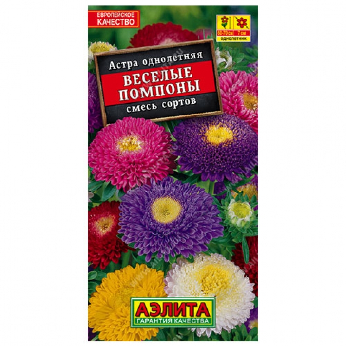 Астра Веселые помпоны, смесь окрасок