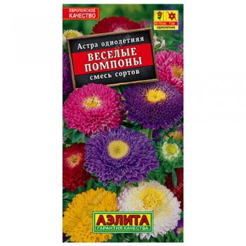 Астра Веселые помпоны, смесь окрасок