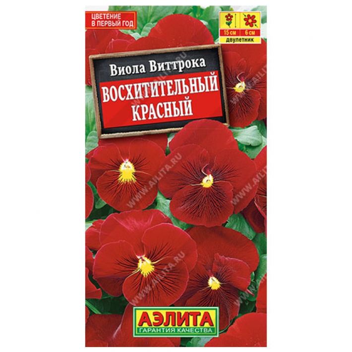 Виола Восхитительный красный