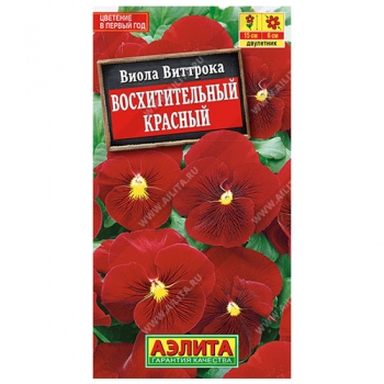 Виола Восхитительный красный