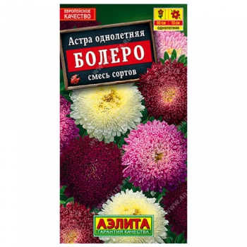 Астра Болеро, смесь окрасок