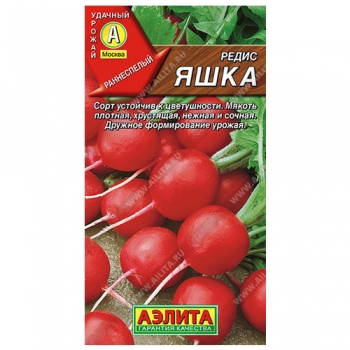 Редис Яшка