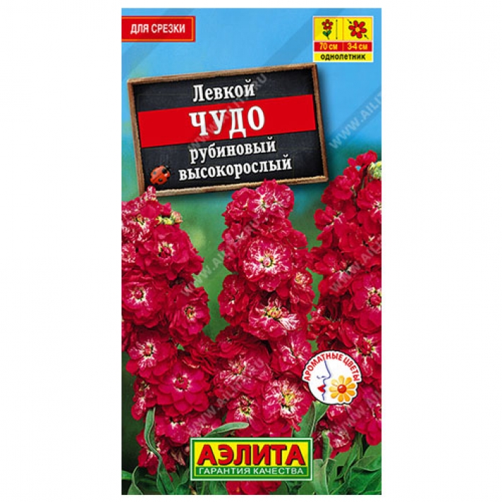 Левкой высокорослый Чудо рубиновый