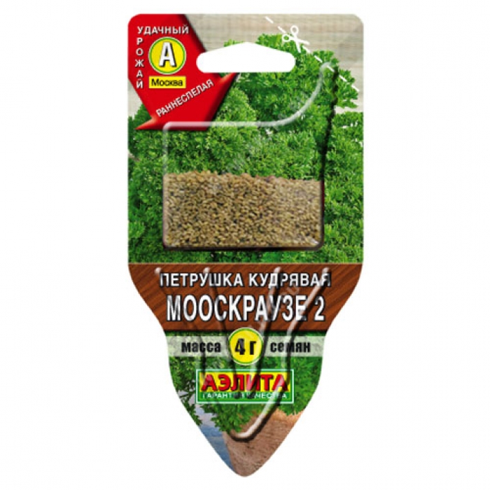 Петрушка кудрявая Мооскраузе 2