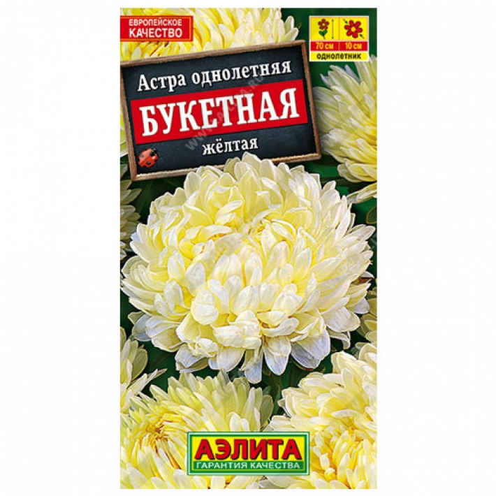 Астра Букетная желтая