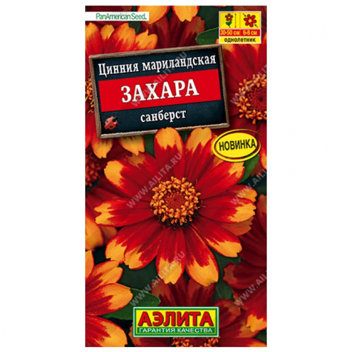 Цинния Захара санберст