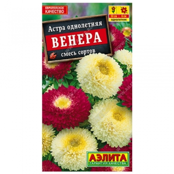 Астра Венера, смесь окрасок