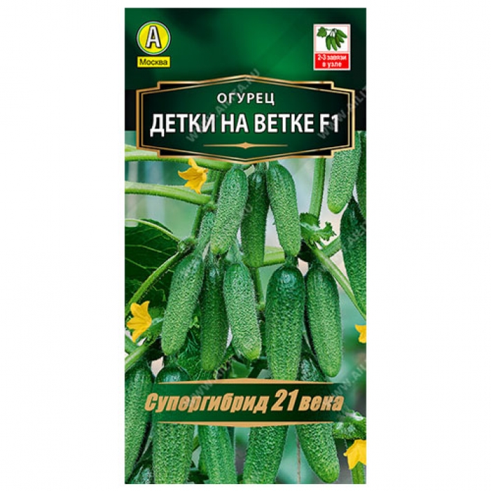 Огурец Детки на ветке F1