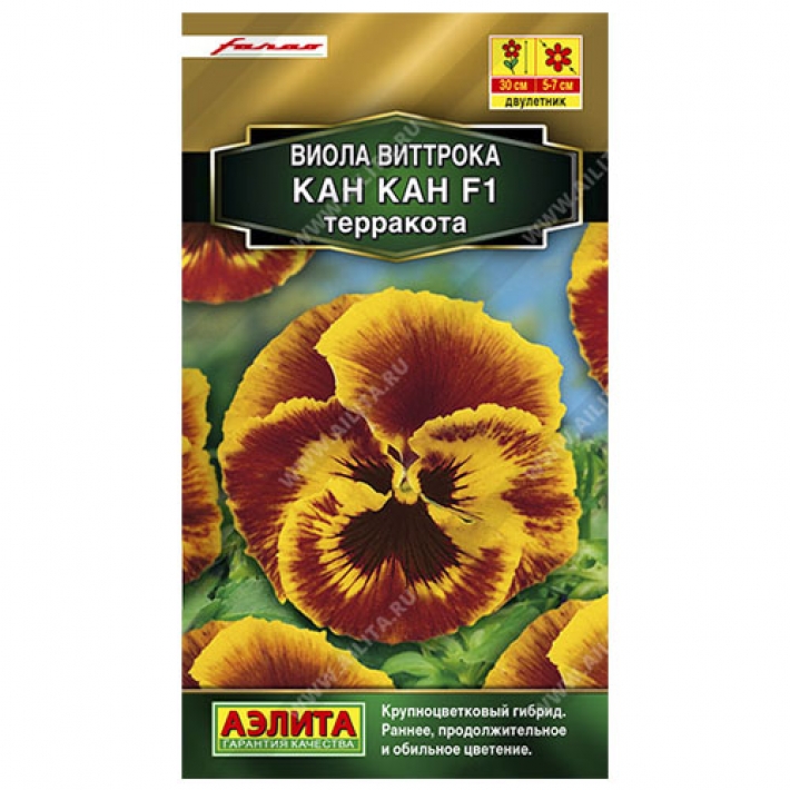 Виола Кан Кан F1 терракота