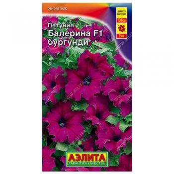 Петуния Балерина бургунди крупноцветковая F1