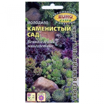 Молодило Каменистый сад, смесь сортов