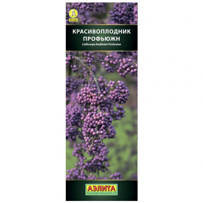 Красивоплодник бодиньера Профьюжн