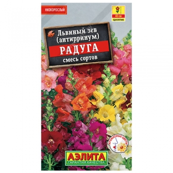 Львиный зев Радуга, смесь сортов
