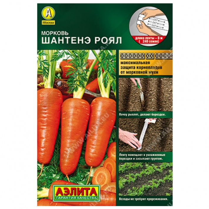 Морковь Шантенэ Роял