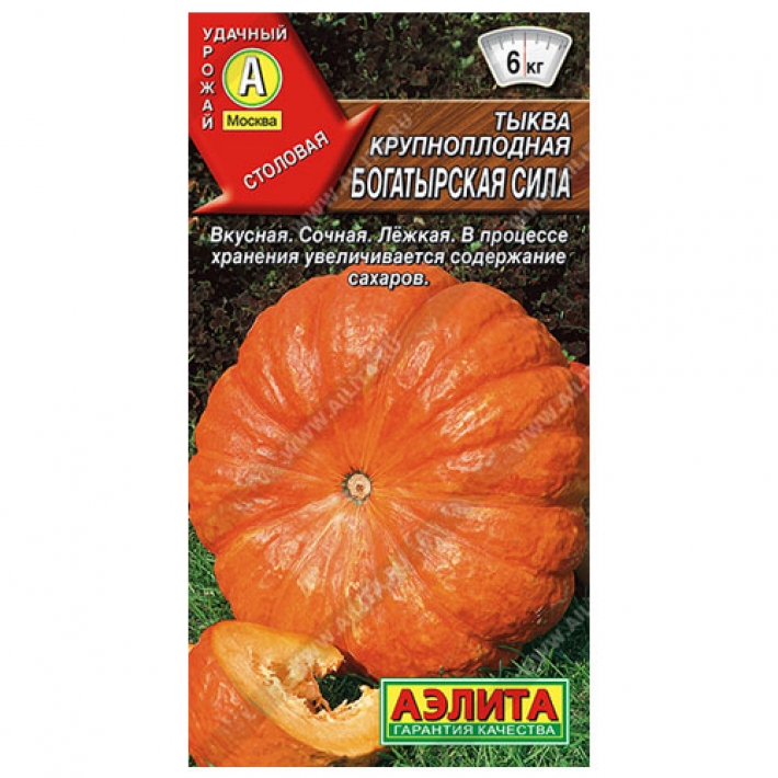 Тыква крупноплодная Богатырская сила