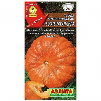 Тыква крупноплодная Богатырская сила