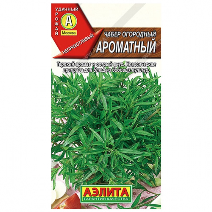 Чабер огородный Ароматный