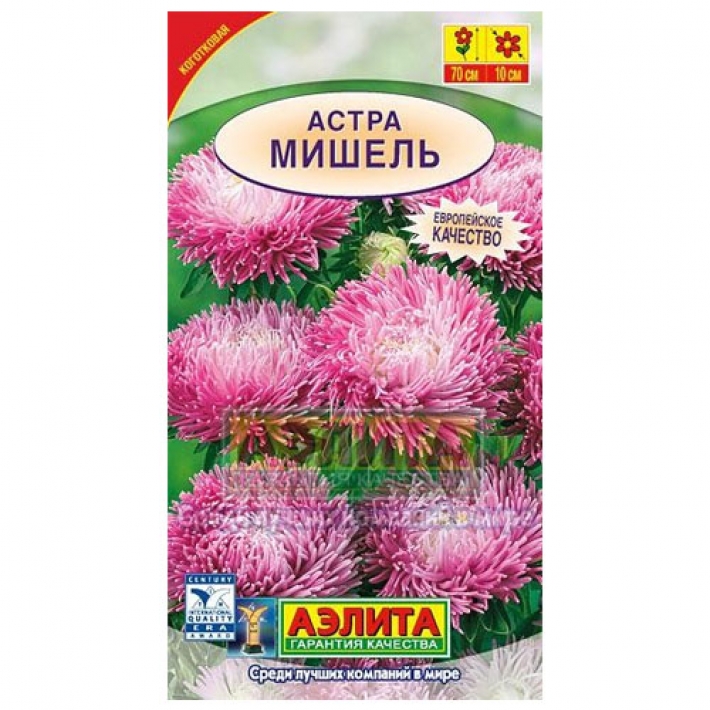 Астра Мишель