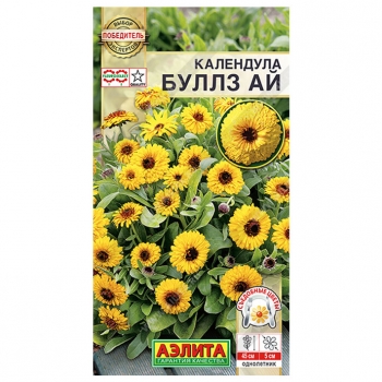 Календула Буллз ай