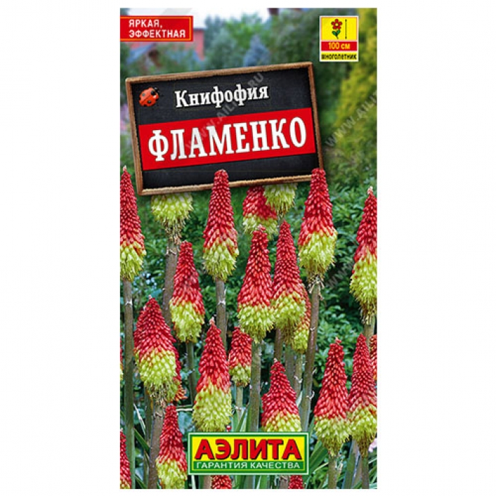 Книфофия ягодная Фламенко