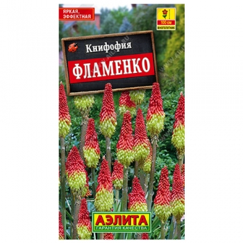 Книфофия ягодная Фламенко