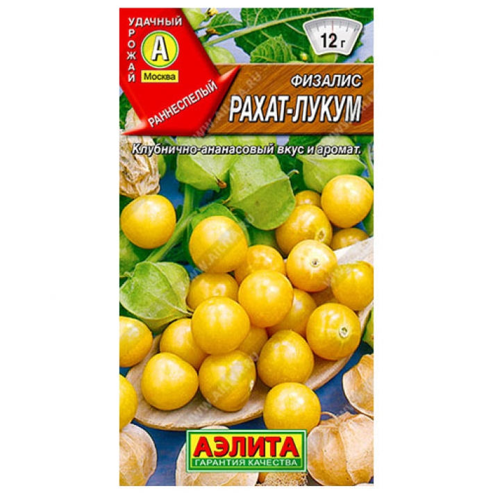 Физалис Рахат-лукум