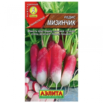 Редис Мизинчик