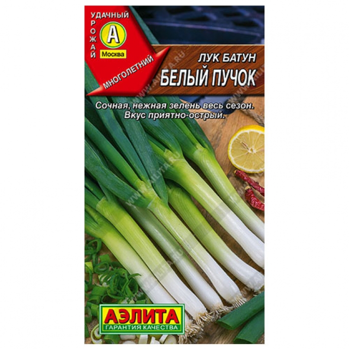 Лук батун Белый пучок