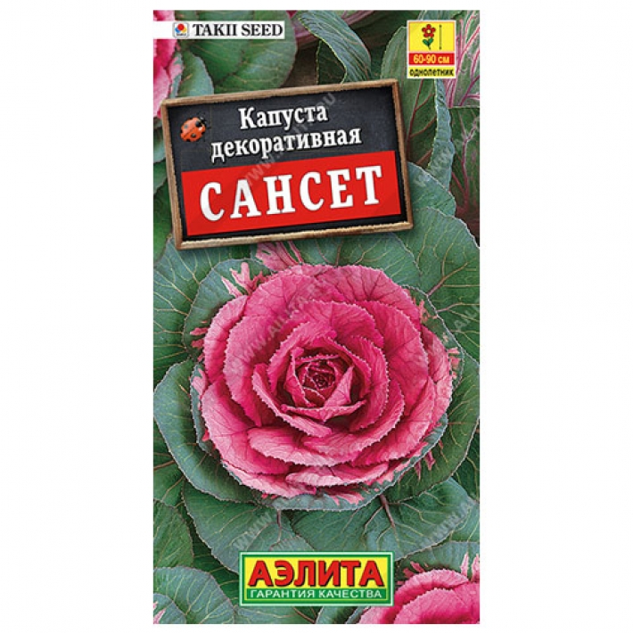 Капуста декоративная Сансет