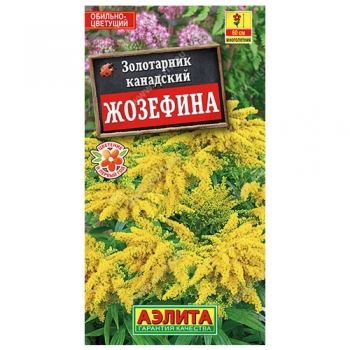 Золотарник Жозефина