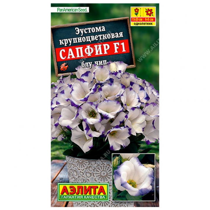 Эустома Сапфир F1 блу чип крупноцветковая