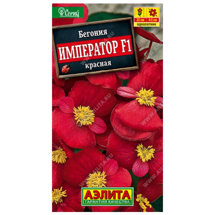 Бегония вечноцветущая Император красная F1