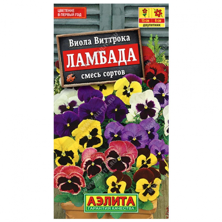 Виола Ламбада, смесь сортов