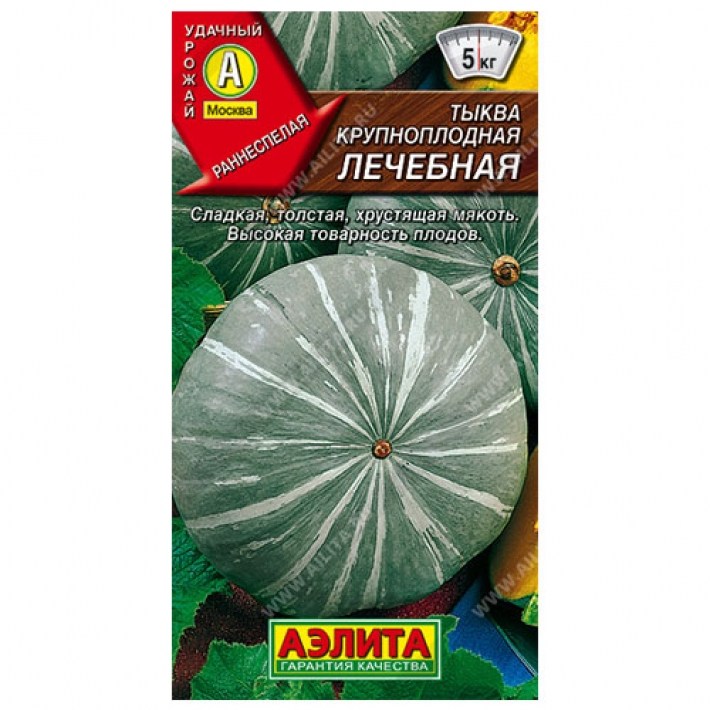 Тыква крупноплодная Лечебная