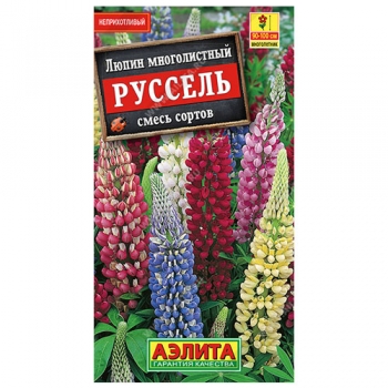 Люпин Руссель, смесь сортов